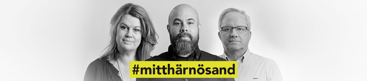 Lena Fällström, Jon Hultman och Ove Sjödin.