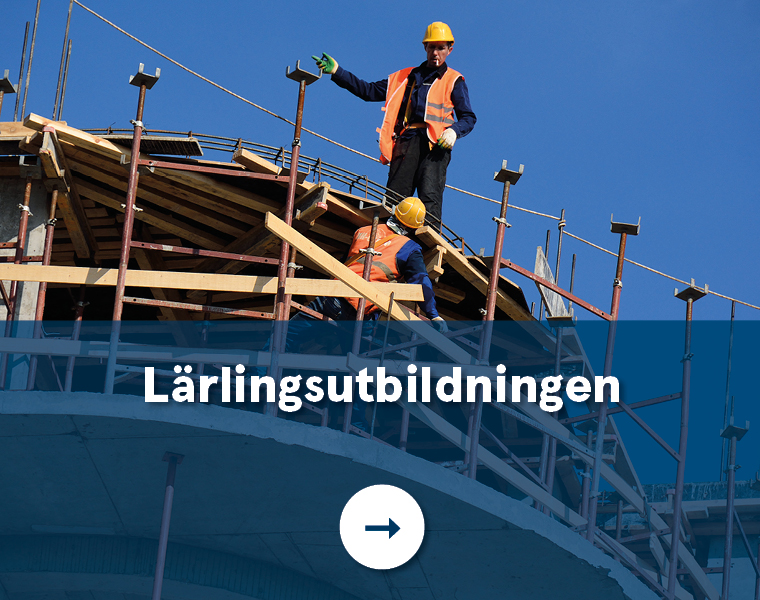 Lärlingsutbildningen.