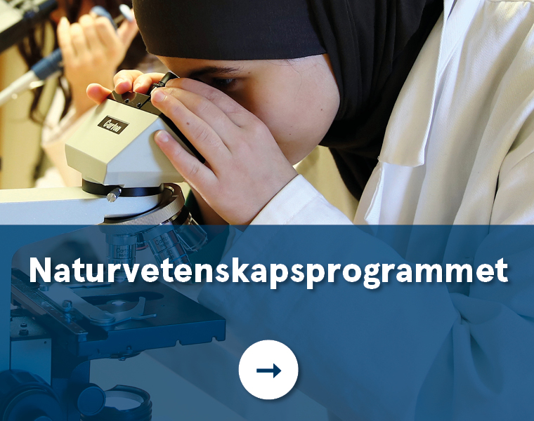 Naturvetenskapsprogrammet.